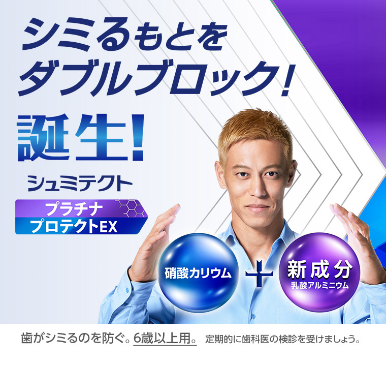 シュミテクト プラチナプロテクトEX