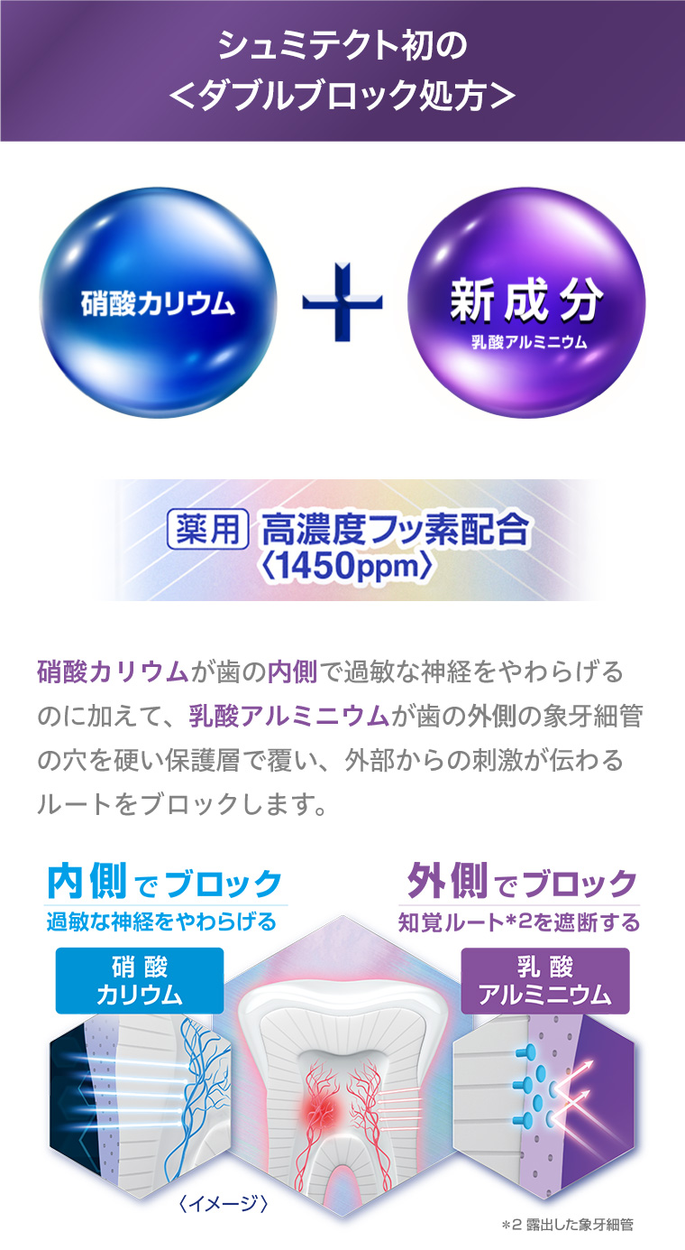シュミテクト初の<ダブルブロック処方>