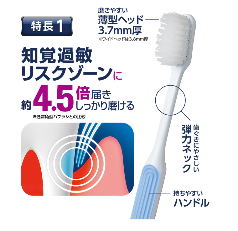 知覚過敏リスクゾーンに約4.5倍屈さ しっかり磨ける