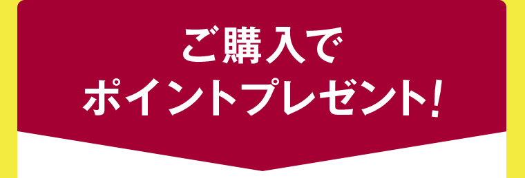 ご購入でポイントプレゼント