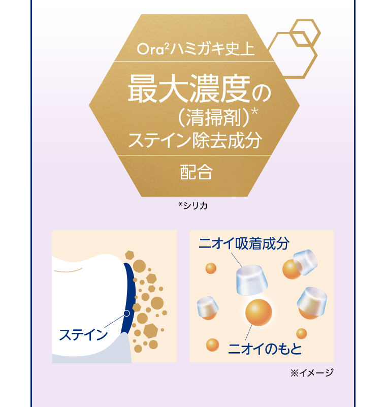 最大濃度のステイン除去成分配合