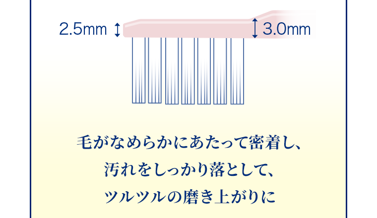 毛がなめらかにあたって密着し、汚れをしっかり落として、ツルツルの磨き上がりに