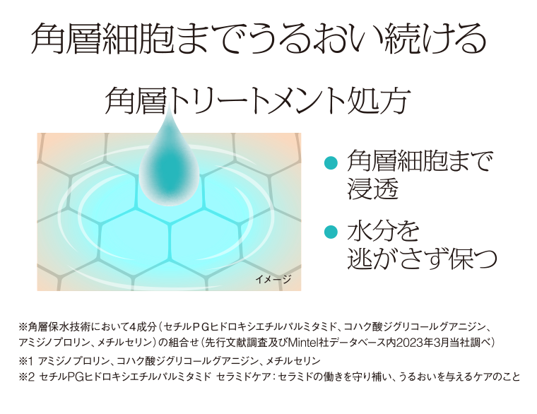 角層細胞までうるおい続ける