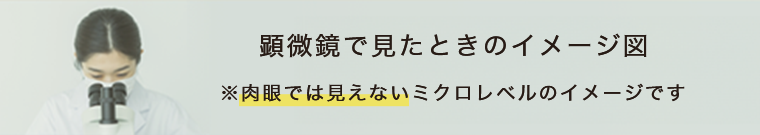 顕微鏡で見たときのイメージ図