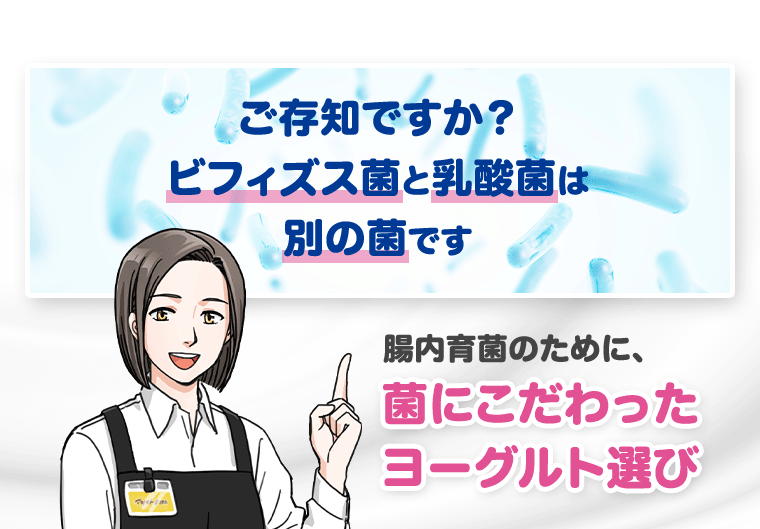 ご存知ですか？ビフィズス菌と乳酸菌は別の菌です