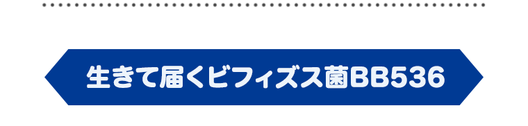 生きて届くビフィズス菌BB536
