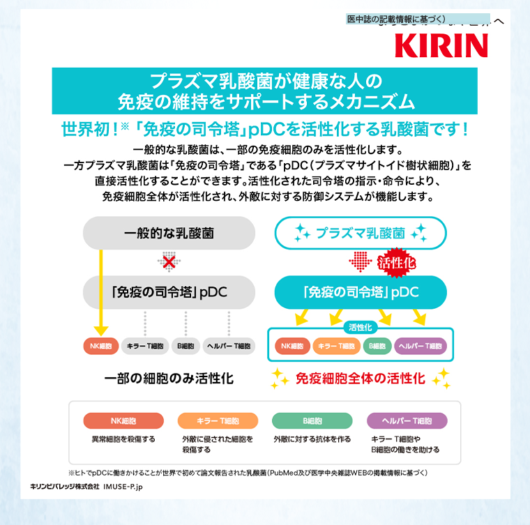 プラズマ乳酸菌が健康な人の免疫の維持をサポートするメカニズム
