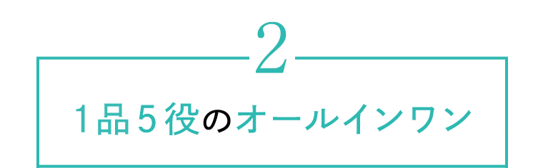 2　1品5役のオールインワン