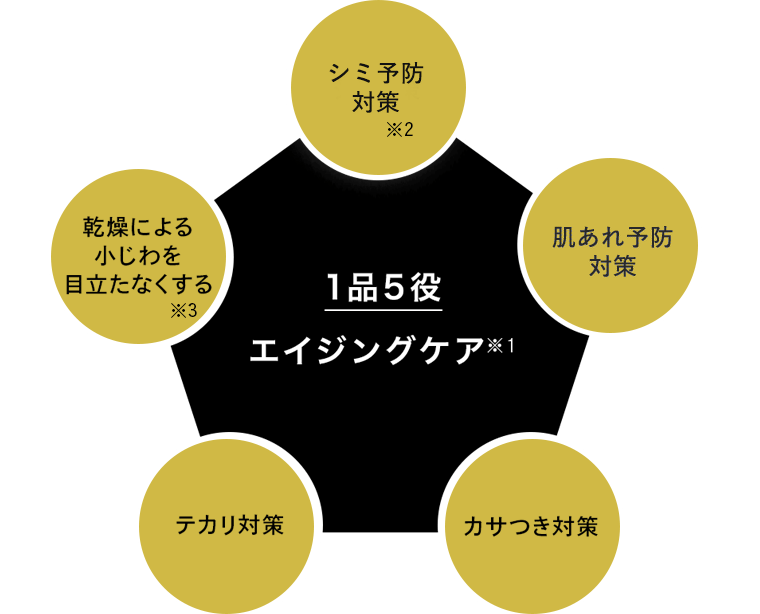 1品5役エイジングケア※1　シミ予防対策※2／肌あれ予防対策／カサつき防止／テカリ対策／乾燥による小じわを目立たなくする※3