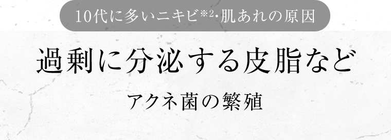 〈10代に多いニキビ※2・肌あれの原因〉過剰に分泌する皮脂など　アクネ菌の繁殖