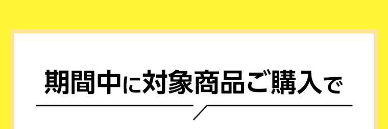 期間中に対象商品ご購入で