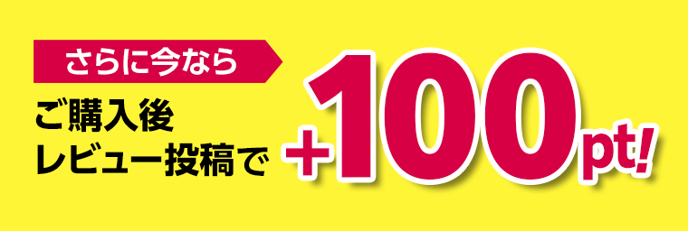 さらに今ならご購入後レビュー投稿で＋100pt！