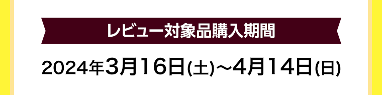 レビュー対象品購入期間