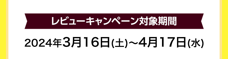 レビューキャンペーン対象期間