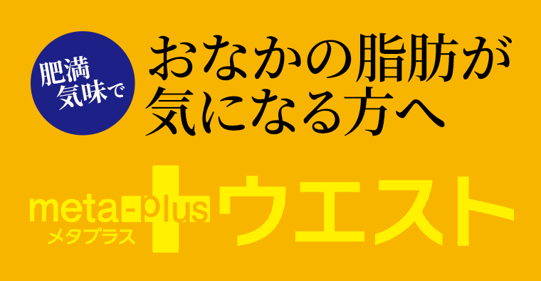 おなかの脂肪が気になる方へ