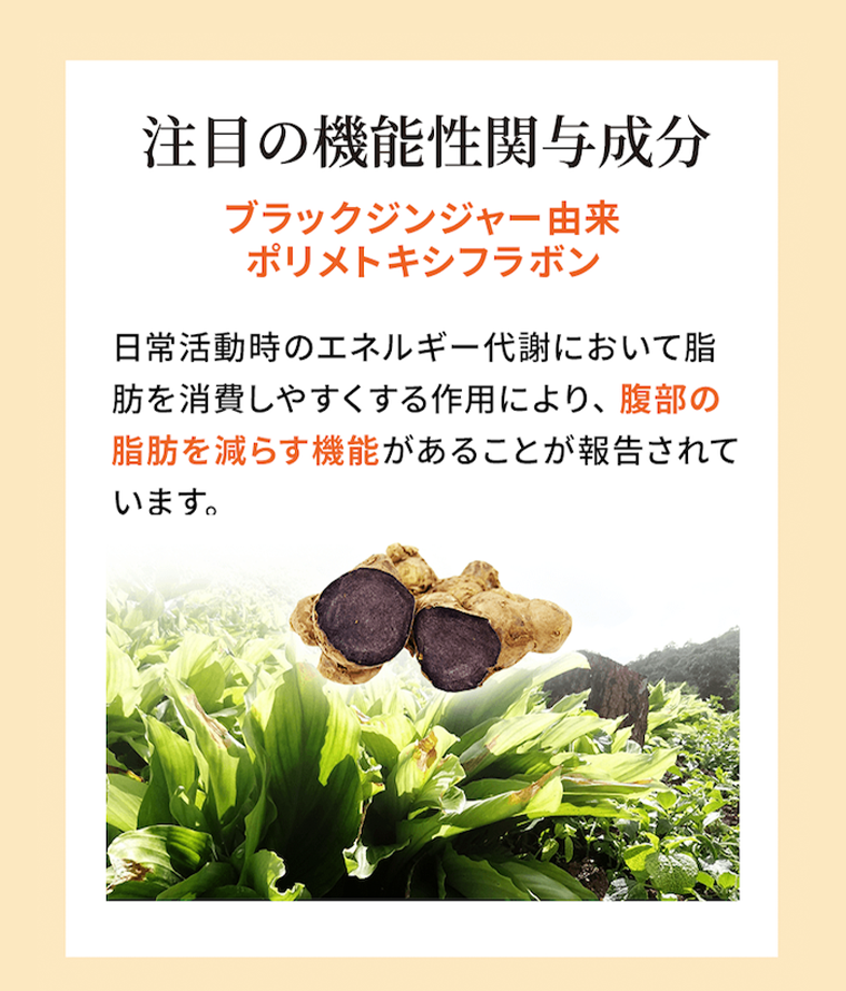 注目の機能性関与成分