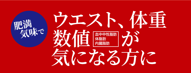 ウエスト、体重数値が気になる方に