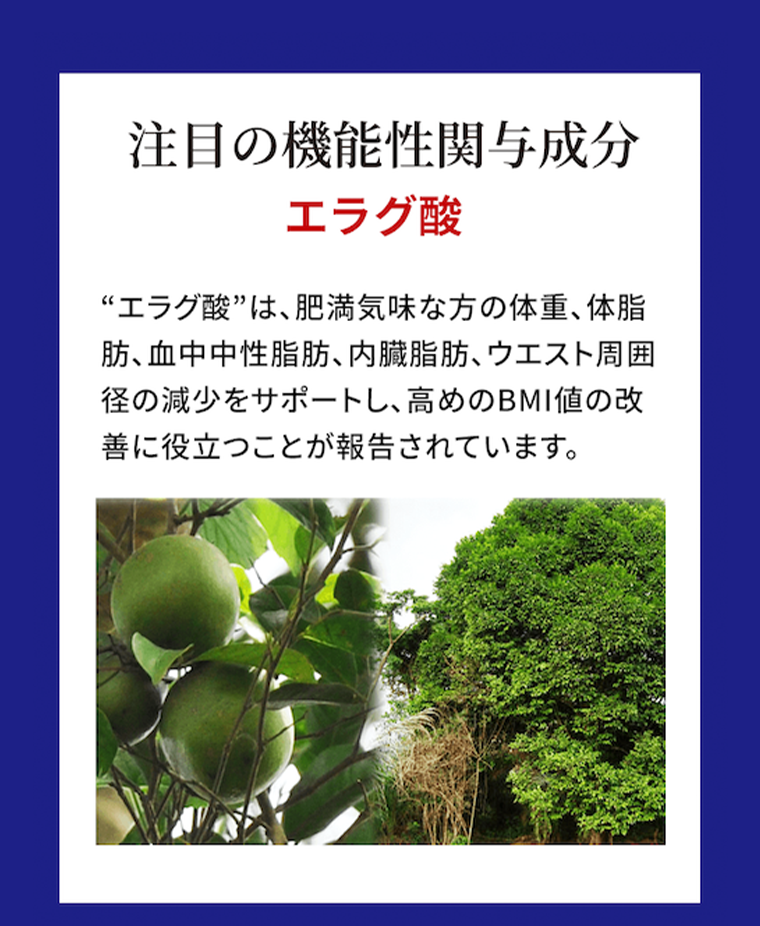 注目の機能性関与成分　エラグ酸