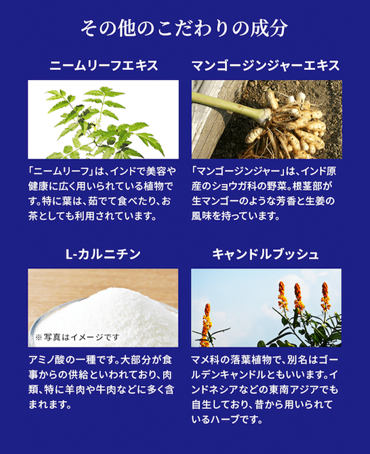その他のこだわりの成分