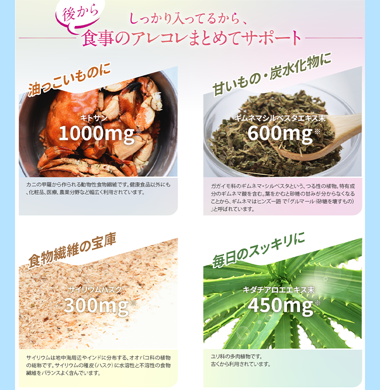 しっかり入ってるから、後から食事のアレコレまとめてサポート