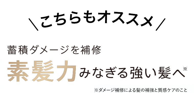 こちらもオススメ　蓄積ダメージを補修　素髪力みなぎる強い髪へ