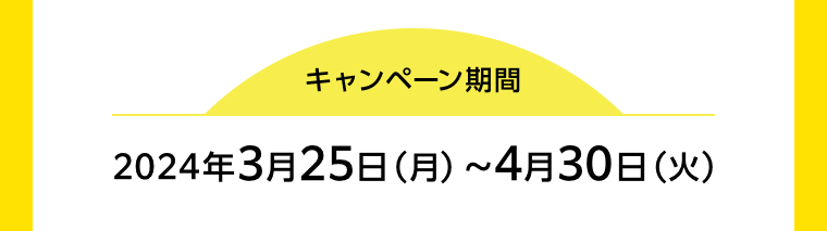 キャンペーン期間