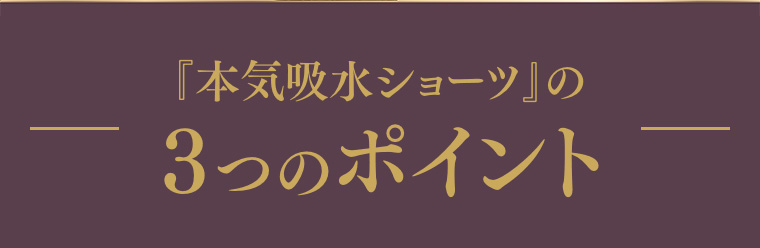 『本気吸水ショーツ』 の3つのポイント