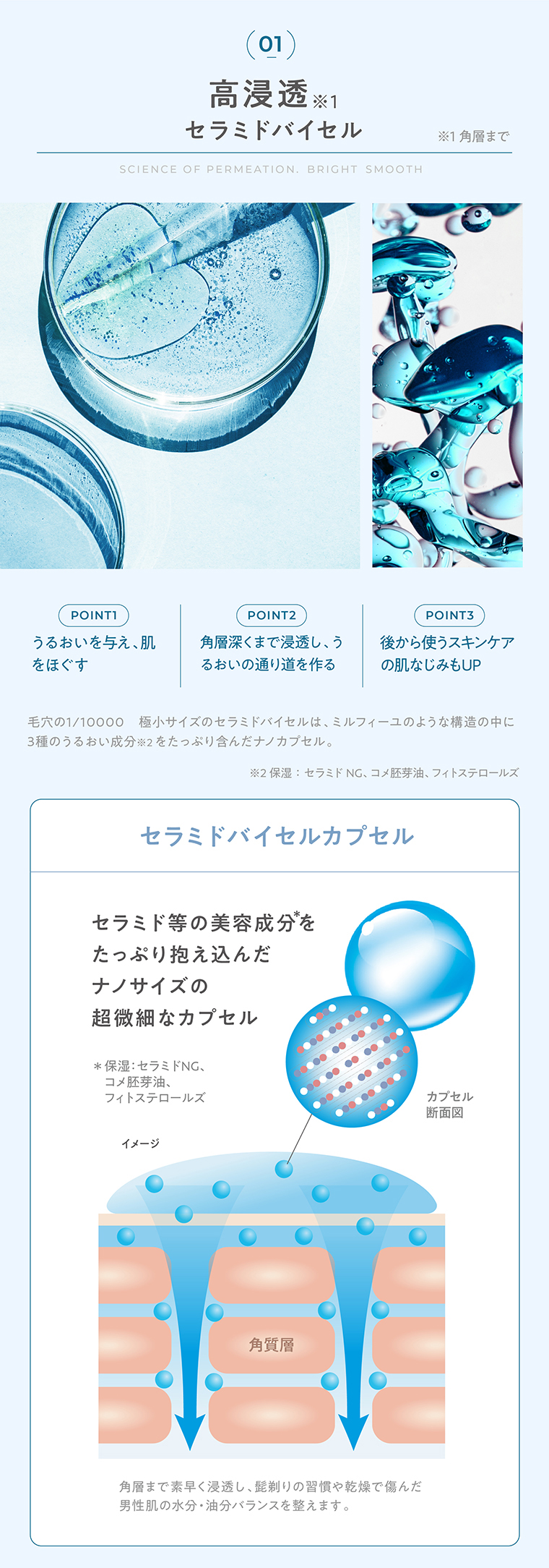 01 高浸透セラミドバイセル