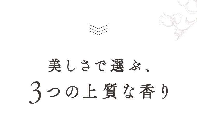 美しさで選ぶ、3つの上質な香り