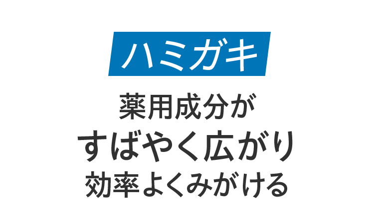 ハミガキ　薬用成分がすばやく広がり効率よくみがける