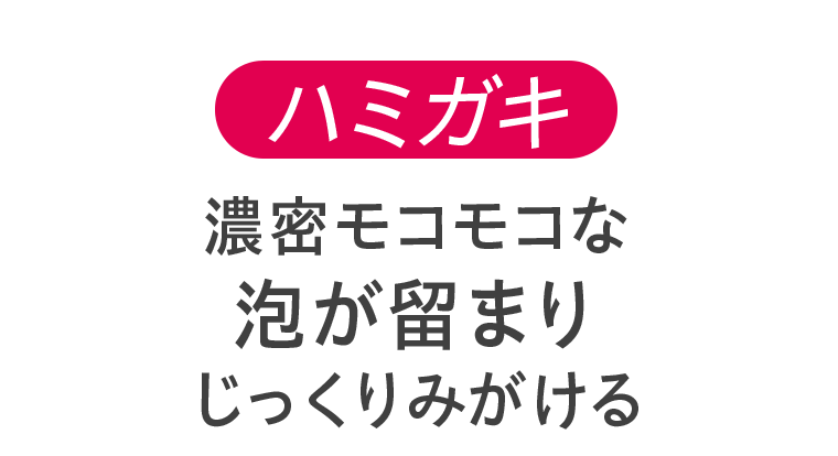 ハミガキ　濃密モコモコな泡が留まりじっくりみがける