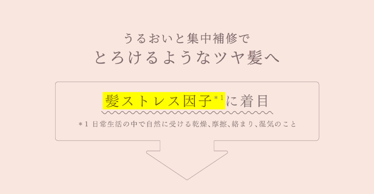 髪ストレス因子に着目
