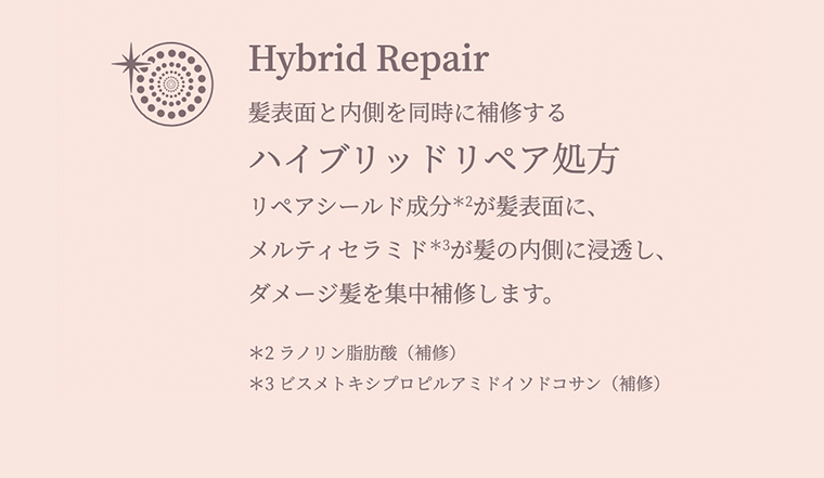ハイブリッドリペア処方