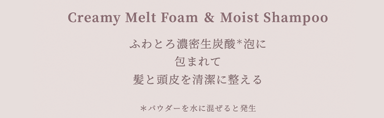 Creamy Melt Foam & Moist Shampoo