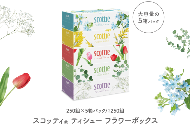 スコッティ　ティシューフラワーボックス