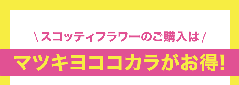 スコッティフラワーのご購入はマツキヨココカラがお得！
