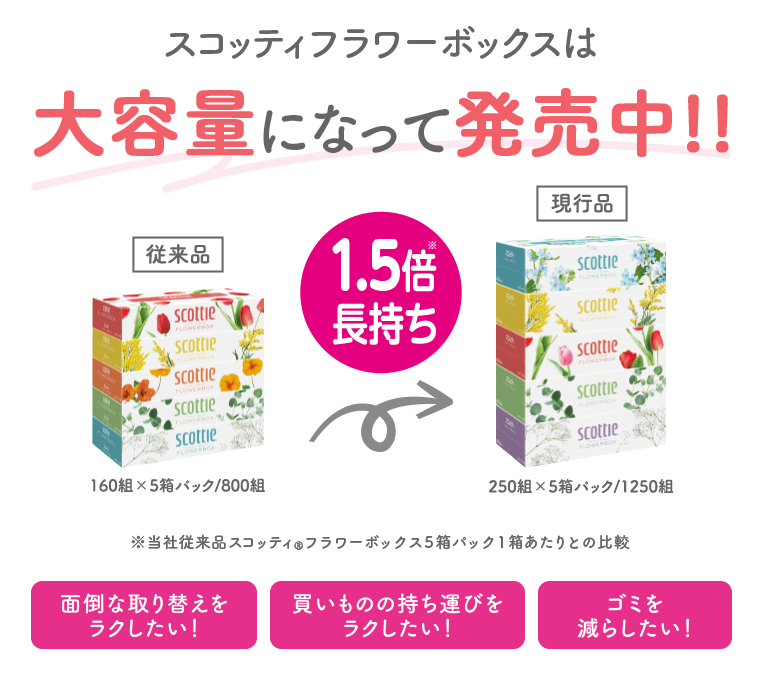 スコッティフラワーボックスは大容量になって発売中！！