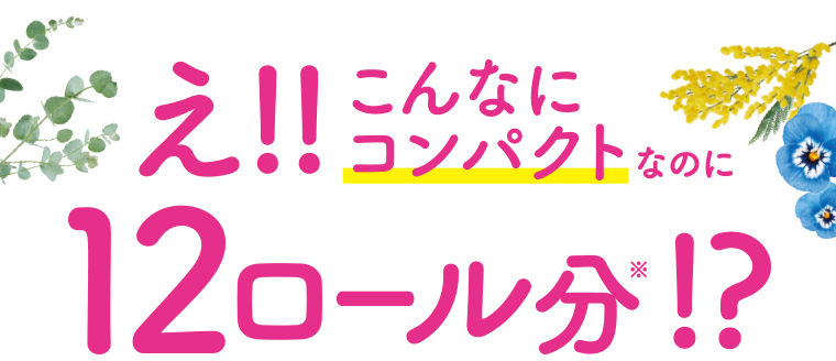 え！！こんなにコンパクトなのに12ロール分！？