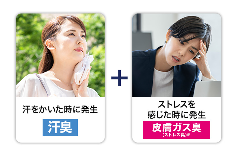 汗をかいた時に発生 汗臭 +ストレスを 感じた時に発生 皮膚ガス臭(ストレス臭)