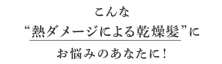 こんな“熱ダメージによる乾燥髪”にお悩みのあなたに！