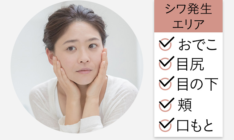 シワ発生エリア おでこ 目尻 目の下 頬 口もと