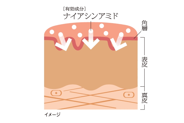 [有効成分]ナイアシンアミド
