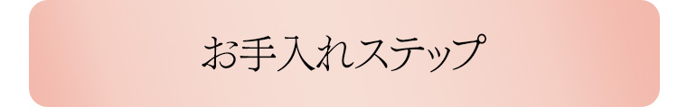 お手入れステップ