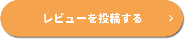 レビューを投稿する