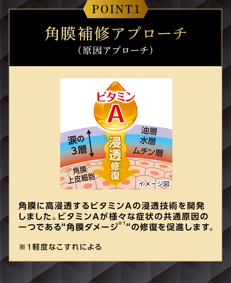 POINT1　角膜補修アプローチ