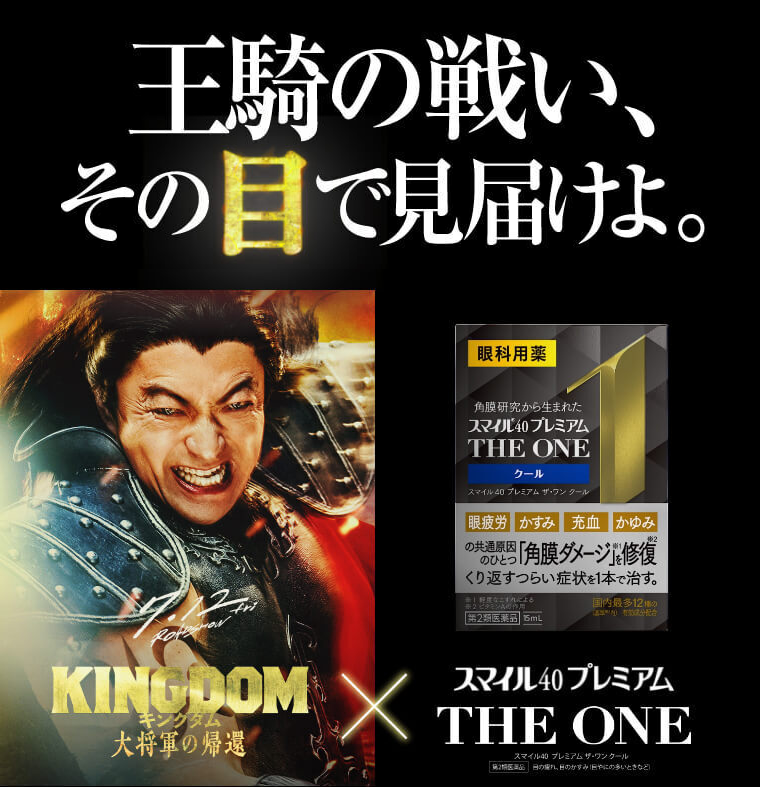 王騎の戦い、その目で見届けよ