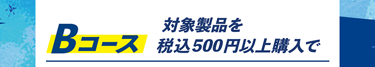 Bコース　対象製品を税込500円以上購入で