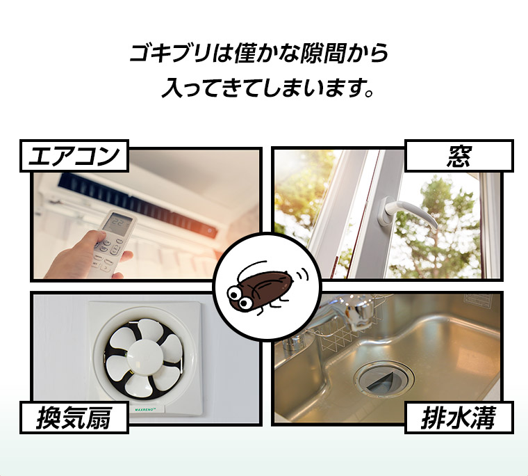 ゴキブリは僅かな隙間から入ってきてしまいます。