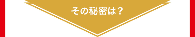 その秘密は?