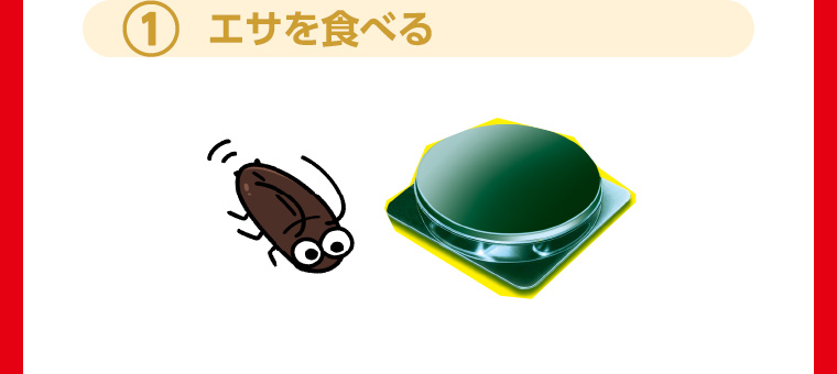 1 エサを食べる